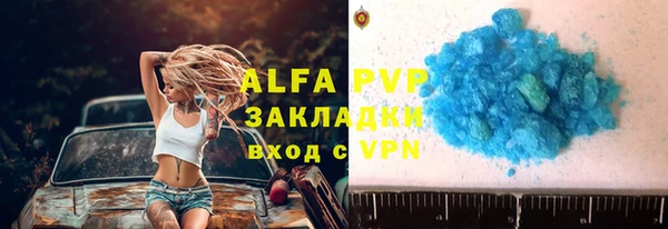 PSILOCYBIN Аркадак
