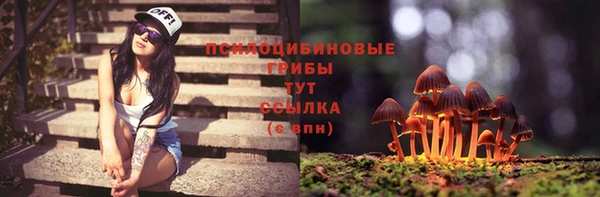 прущие крисы Армянск