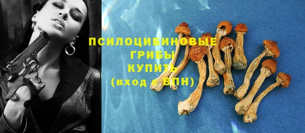 PSILOCYBIN Аркадак